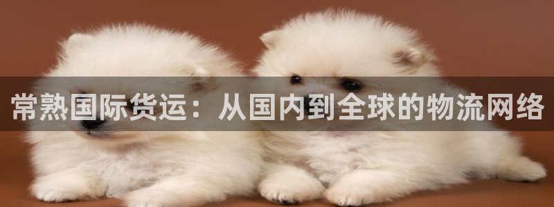k豆钱包下载安卓版：常熟国际货运：从国内到全球的物流网络