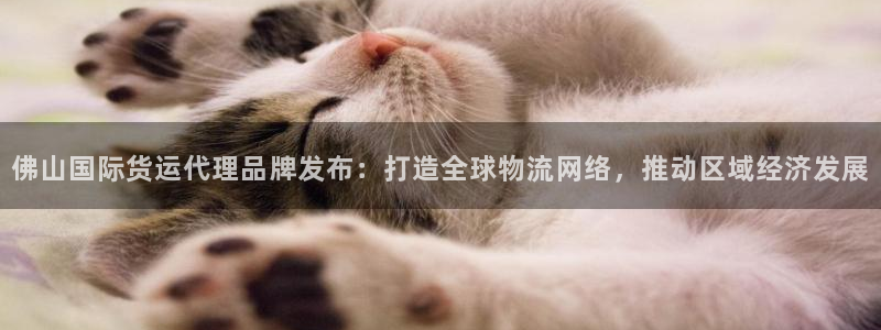 365钱包k豆钱包：佛山国际货运代理品牌发布：打造全球物