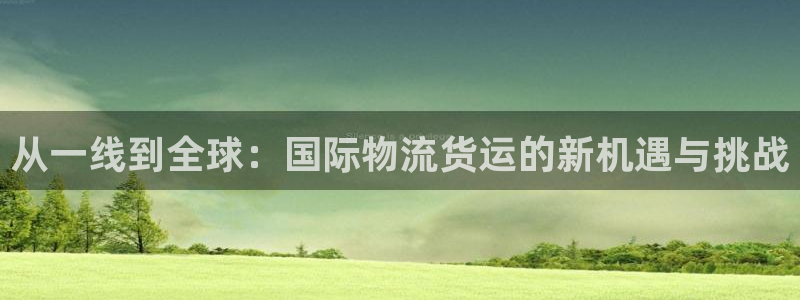 k豆钱包下载安卓：从一线到全球：国际物流货运的新机遇与挑