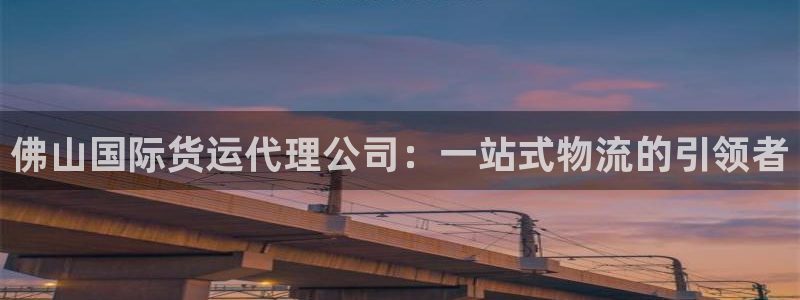 k豆钱包地址怎么写：佛山国际货运代理公司：一站式物流的引