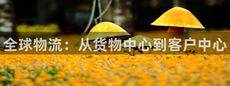k豆钱包安装包：全球物流：从货物中心到客户中心