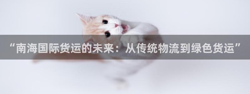 k豆钱包最新下载地址：“南海国际货运的未来：从传统物流到