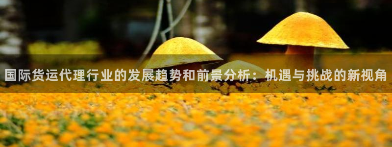 k豆钱包有啥用：国际货运代理行业的发展趋势和前景分析：机