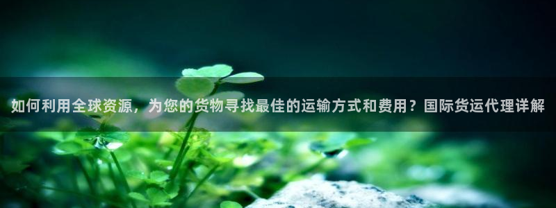 k豆钱包卖豆太难了：如何利用全球资源，为您的货物寻找最佳