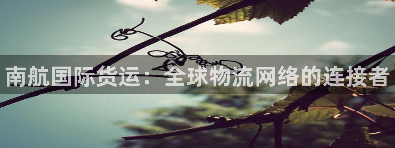 k豆钱包提现：南航国际货运：全球物流网络的连接者