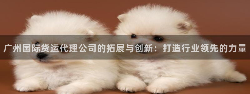 k豆钱包最新版本下载：广州国际货运代理公司的拓展与创新：