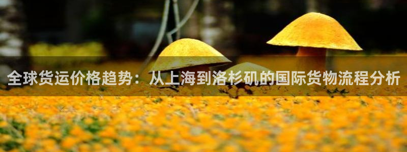k豆钱包app官网：全球货运价格趋势：从上海到洛杉矶的国