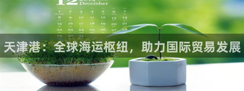 k豆钱包最新下载：天津港：全球海运枢纽，助力国际贸易发展