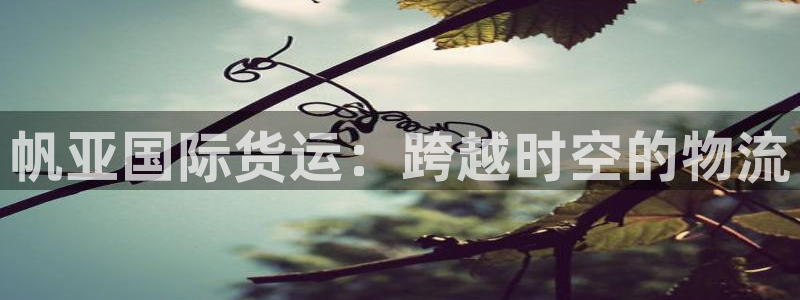 k豆钱包怎么样?：帆亚国际货运：跨越时空的物流