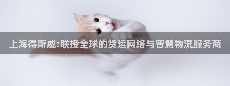 k豆钱包：上海得斯威:联接全球的货运网络与智慧物流服务商