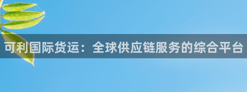 k 豆钱包4：可利国际货运：全球供应链服务的综合平台