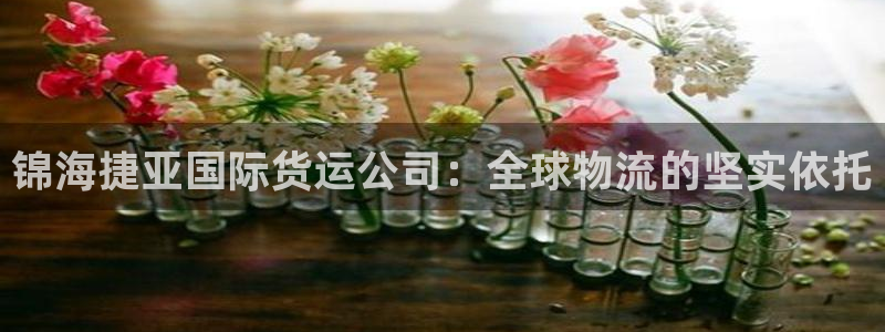 k豆钱包平台：锦海捷亚国际货运公司：全球物流的坚实依托