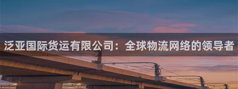 k豆钱包下载安卓：泛亚国际货运有限公司：全球物流网络的领
