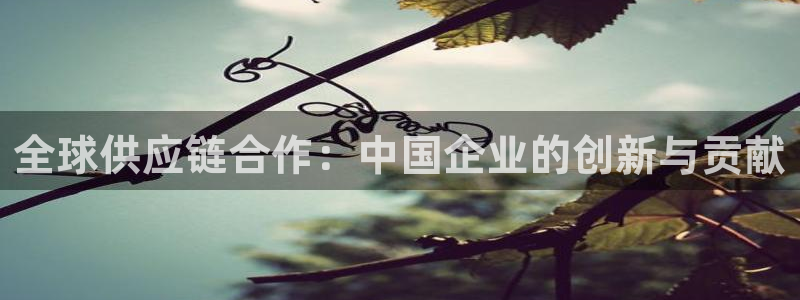 k豆钱包怎么提现到微信：全球供应链合作：中国企业的创新与