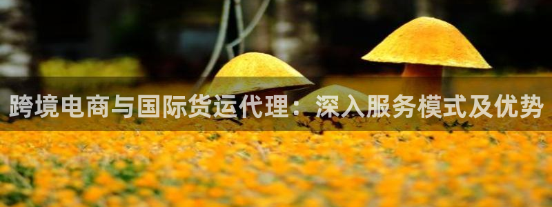 k豆钱包卖豆：跨境电商与国际货运代理：深入服务模式及优势