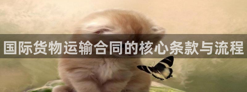 免费下载k豆钱包：国际货物运输合同的核心条款与流程