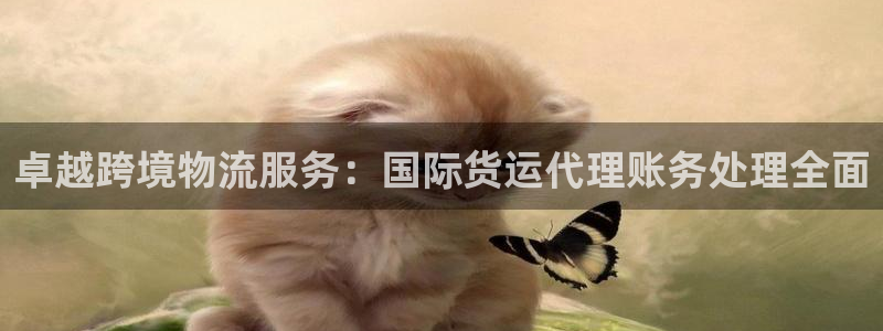 k豆钱包平台：卓越跨境物流服务：国际货运代理账务处理全面