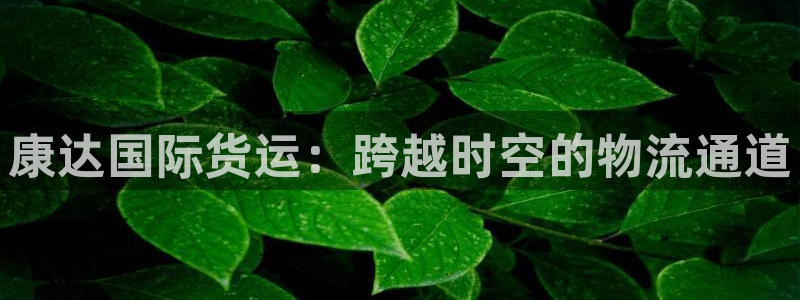 k豆钱包app：康达国际货运：跨越时空的物流通道