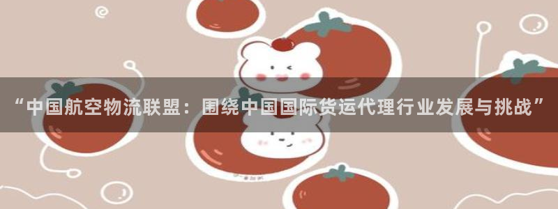k豆钱包下载入口：“中国航空物流联盟：围绕中国国际货运代