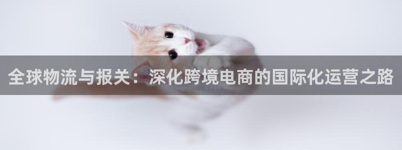 k豆钱包卖豆太难了：全球物流与报关：深化跨境电商的国际化