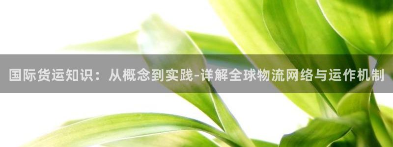 您好,k豆钱包下：国际货运知识：从概念到实践-详解全球物
