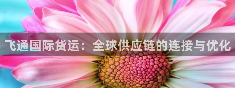 怎么才能下载k豆钱包：飞通国际货运：全球供应链的连接与优