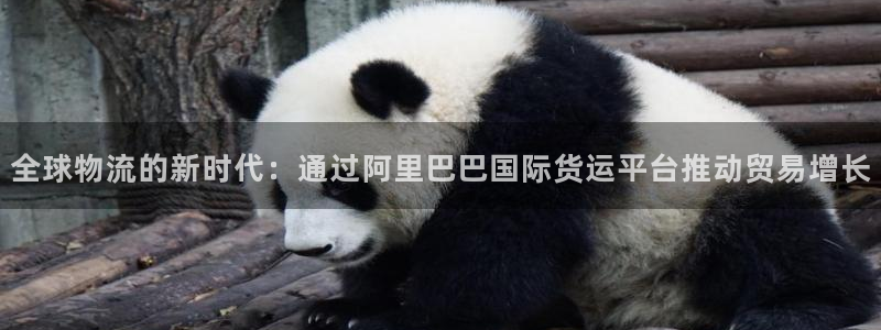 k豆钱包里面搬砖怎么玩：全球物流的新时代：通过阿里巴巴国
