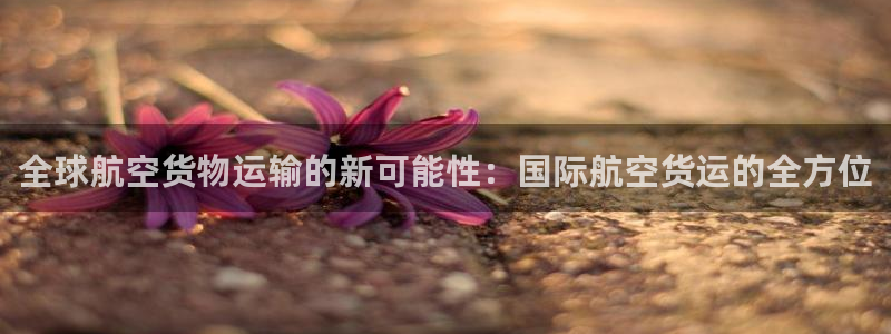 k豆钱包地址怎么写：全球航空货物运输的新可能性：国际航空