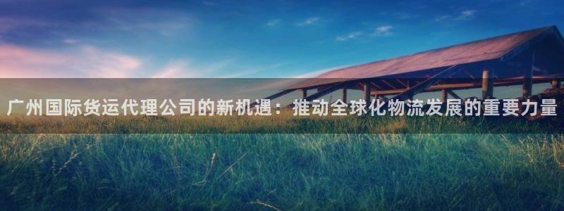 k豆钱包怎么提现到微信：广州国际货运代理公司的新机遇：推