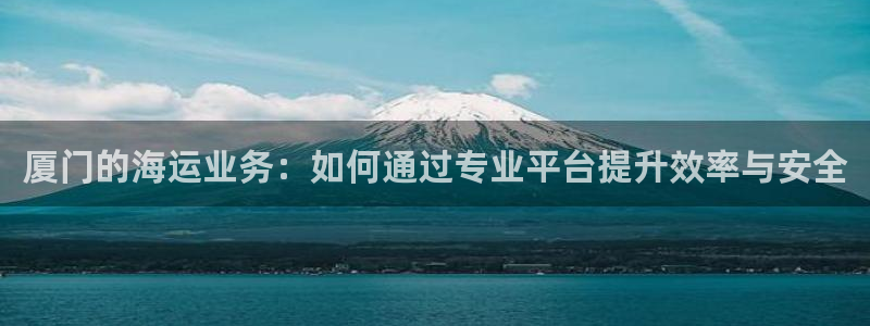 k d豆钱包：厦门的海运业务：如何通过专业平台提升效率与