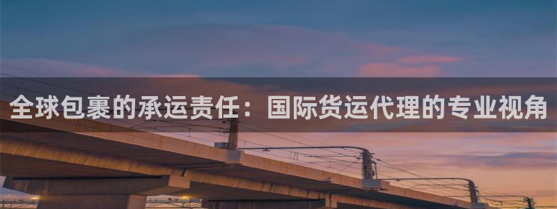 如何下载k豆钱包：全球包裹的承运责任：国际货运代理的专业