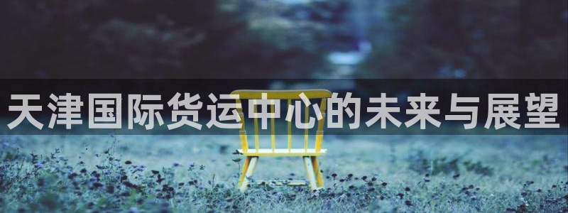 k豆钱包官网地址：天津国际货运中心的未来与展望