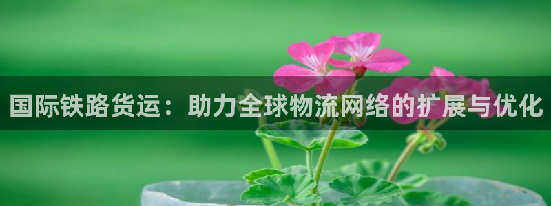 k豆钱包下载安卓版：国际铁路货运：助力全球物流网络的扩展