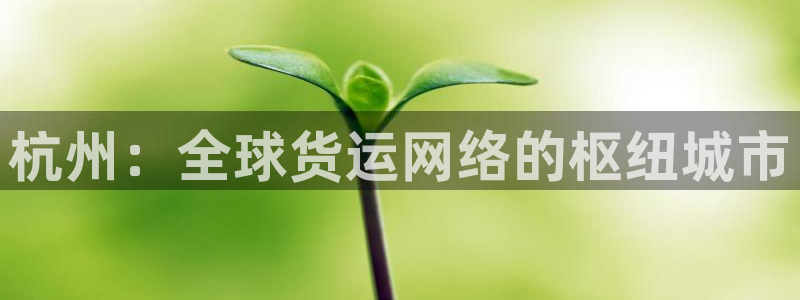 k豆钱包邀请码：杭州：全球货运网络的枢纽城市