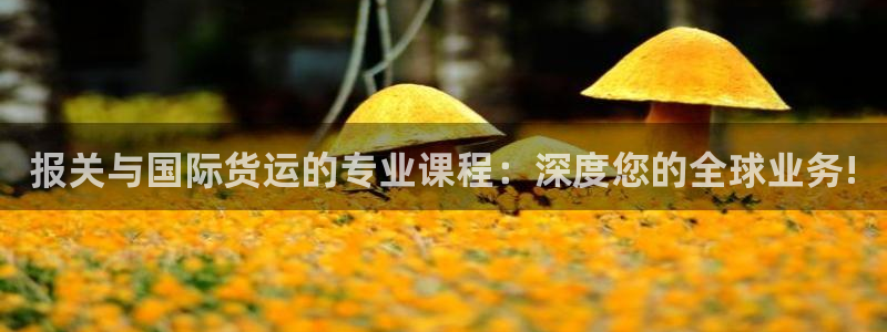 k豆钱包实名认证安不安全：报关与国际货运的专业课程：深度