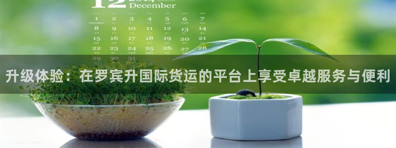 k豆钱包平台：升级体验：在罗宾升国际货运的平台上享受卓越
