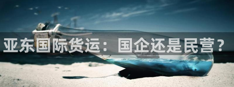k豆钱包链接：亚东国际货运：国企还是民营？