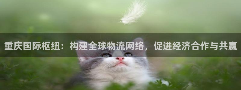 k豆钱包下载不了：重庆国际枢纽：构建全球物流网络，促进经