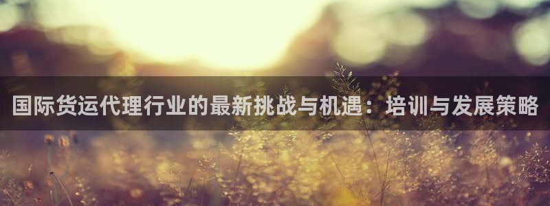 k豆钱包最新版本下载2024：国际货运代理行业的最新挑战