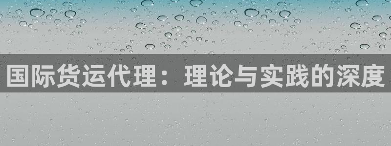 k豆钱包快捷卖豆：国际货运代理：理论与实践的深度