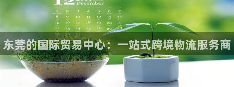 k豆钱包下载安卓：东莞的国际贸易中心：一站式跨境物流服务