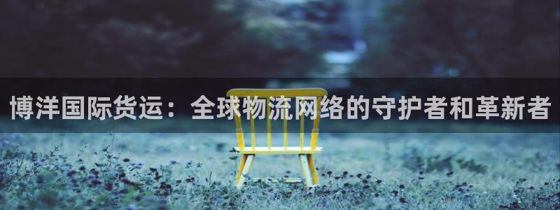 k豆钱包怎么使用：博洋国际货运：全球物流网络的守护者和革