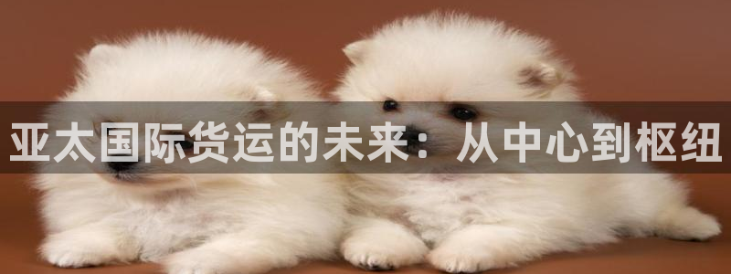 k豆钱包官网平台：亚太国际货运的未来：从中心到枢纽