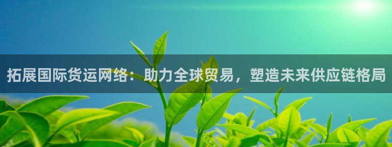 k豆钱包是干嘛的：拓展国际货运网络：助力全球贸易，塑造未