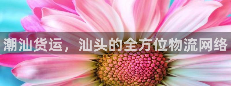 k豆钱包链接：潮汕货运，汕头的全方位物流网络