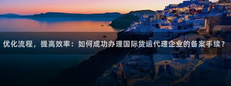 365k豆钱包：优化流程，提高效率：如何成功办理国际货运