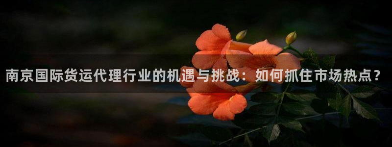 k豆钱包里面搬砖怎么玩：南京国际货运代理行业的机遇与挑战