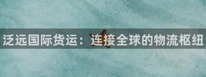k豆钱包1.0.92：泛远国际货运：连接全球的物流枢纽