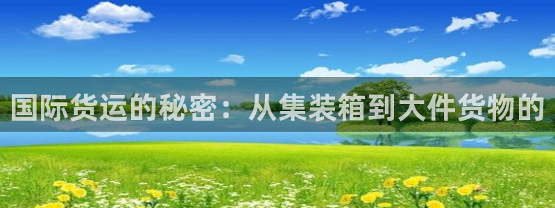 k豆钱包支付：国际货运的秘密：从集装箱到大件货物的