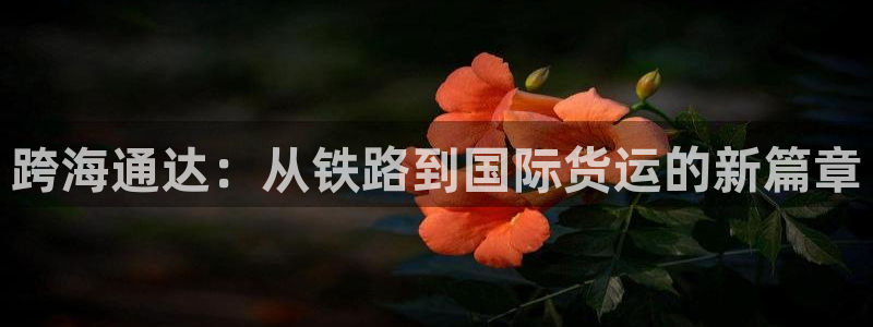 k豆钱包怎么提现到微信：跨海通达：从铁路到国际货运的新篇